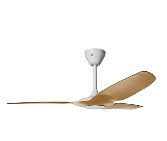 Smart Ceiling Fan